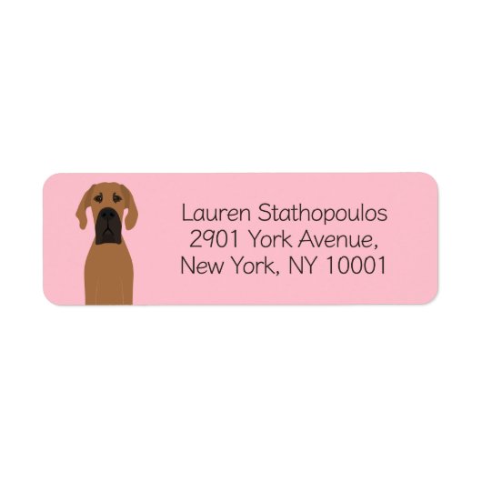 Great Dane Fawn Dog (Vorne)