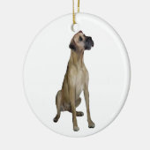 Great Dane - FawnSit - natürliche Ohren Keramikornament (Links)
