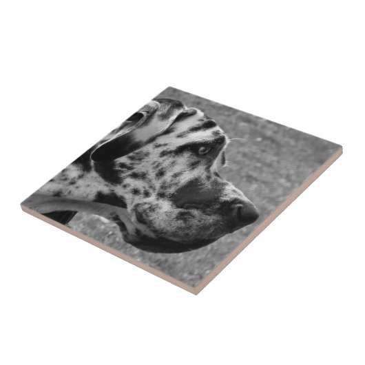 GREAT DANE FLIESE (Seite)