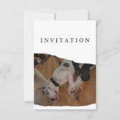 Great Dane Foto-Einladung Einladung (Vorderseite)