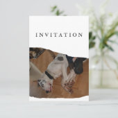 Great Dane Foto-Einladung Einladung (Stehend Vorderseite)