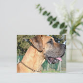 Great Dane Foto Postcard Postkarte (Stehend Vorderseite)