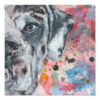 Great Dane Fotodruck