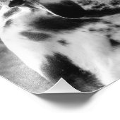 GREAT DANE FOTODRUCK (Ecke)