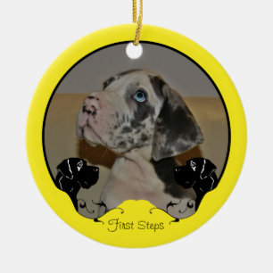 Great Dane Fotografie-Ornament Keramik Ornament