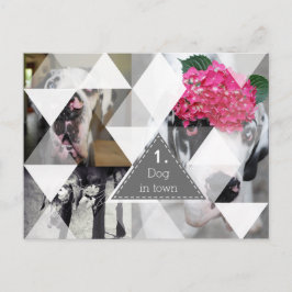 Great Dane Fotografy Cards Postkarte