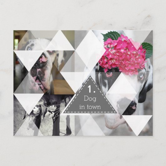 Great Dane Fotografy Cards Postkarte (Vorderseite)