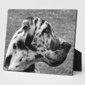 GREAT DANE FOTOPLATTE (Seite)