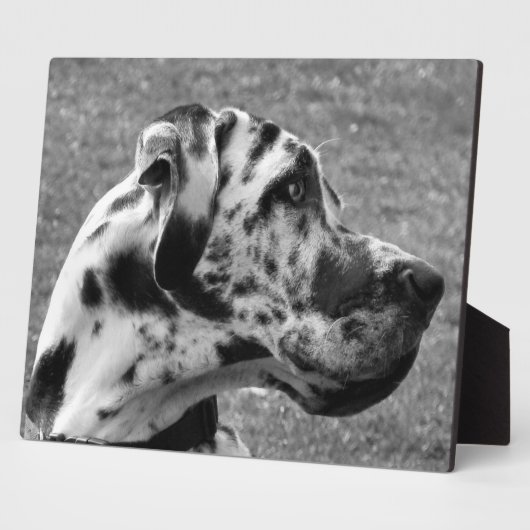 GREAT DANE FOTOPLATTE (Seite)