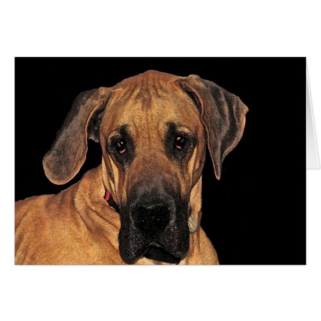 Great Dane Gentle Giant Card (Vorderseite (Horizontal))