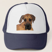 Great Dane Gentle Giant Hat Truckerkappe (Vorderseite)