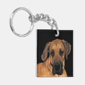 Great Dane Gentle Riant Schlüsselanhänger (Vorderseite links)