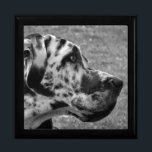 GREAT DANE GESCHENKBOX<br><div class="desc">Ein schönes Schwarz-Weiß-Design eines Great Dane Hundes. England UK.</div>