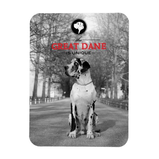 Great Dane Graphics Magnet (Vertikal)