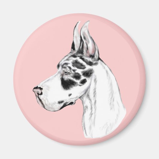 Great Dane Harlequin Feminine Magnet (Vorne)