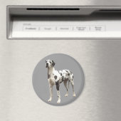 Great Dane Harlequin Magnet (In Situ (Geschirrspüler))