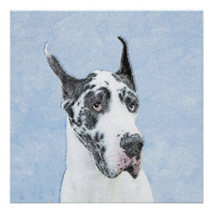Great Dane (Harlequin) Malerei - Original Hundekun Poster