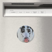 Great Dane - Harlequin - Meine Zunge Touchs Meine  Magnet (In Situ (Geschirrspüler))