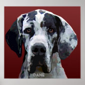 Great Dane Harly Face Poster (Vorne)