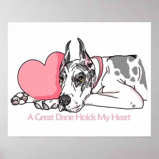 Great Dane Holds Heart Harlequin Poster (Vorne)