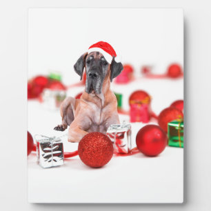 Great Dane Hund mit Weihnachtsgeschenke Fotoplatte
