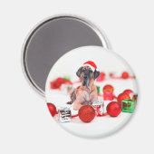 Great Dane Hund mit Weihnachtsgeschenke Magnet (Vorderseite/Rückseite)