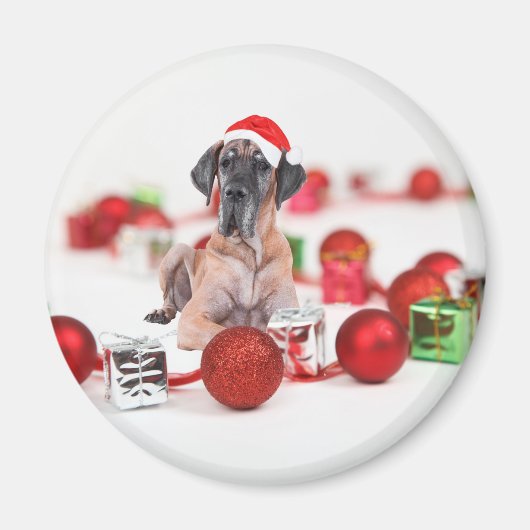 Great Dane Hund mit Weihnachtsgeschenke Magnet (Vorne)