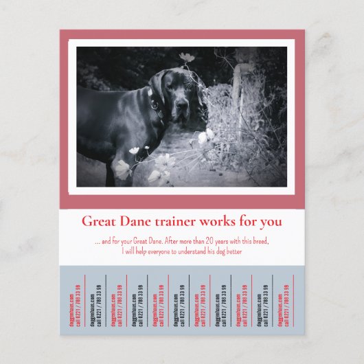 Great Dane Hundetrainer Flyer (Vorne)