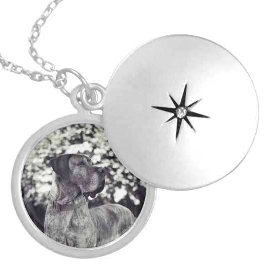 Great Dane images Versilberte Kette