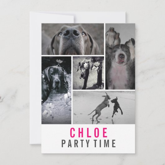 Great Dane Invitation Einladung (Vorderseite)