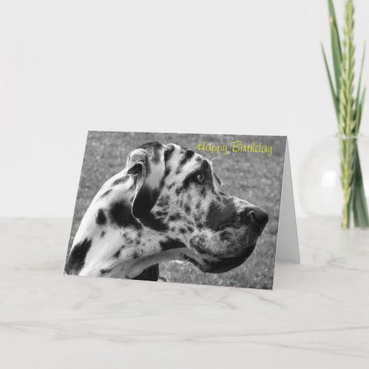 GREAT DANE KARTE (Vorderseite)