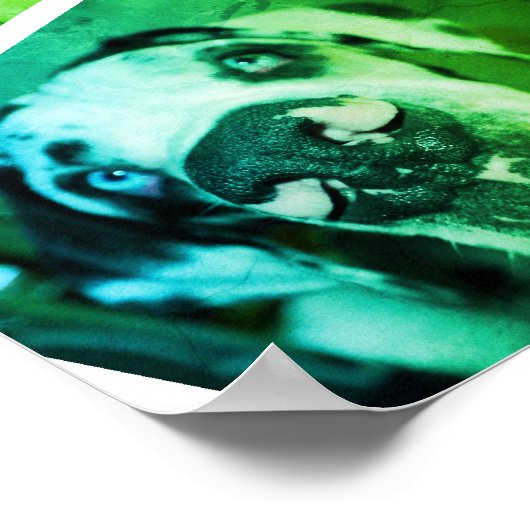 Great Dane Kennel Werbeaktion Poster (Ecke)