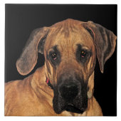 Great Dane Keramik Tile Fliese (Vorderseite)