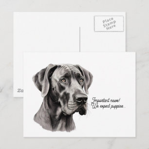 Great Dane Kopfzeichnung Postkarte
