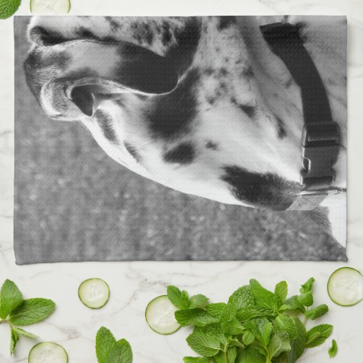 GREAT DANE KÜCHENTUCH (Gefaltet)