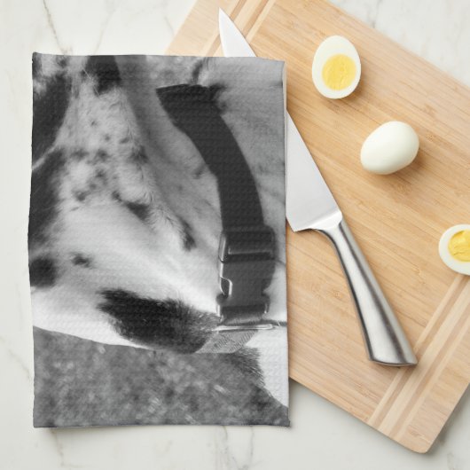 GREAT DANE KÜCHENTUCH (Viertel Falte)