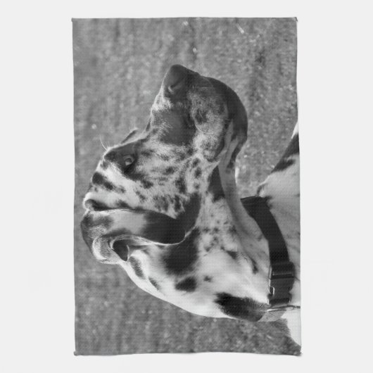 GREAT DANE KÜCHENTUCH (Vertikal)