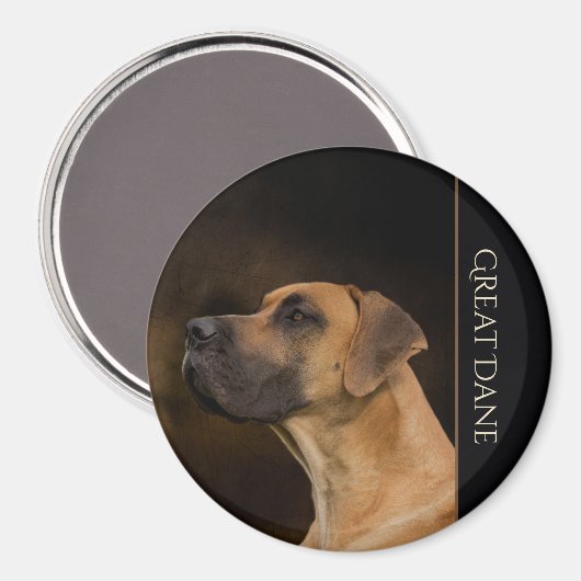 Great Dane Kühlschrankmagnet (Vorderseite/Rückseite)