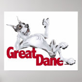 Great Dane Laid Back Harlequin Poster (Vorne)