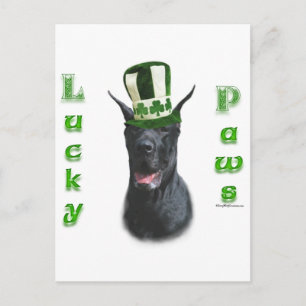 Great Dane Lucky Paws; St. Patty's Day Great Dane Postkarte
