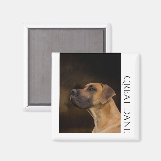 Great Dane Magnet (Vorderseite/Rückseite)