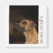 Great Dane Magnet (Vorne)