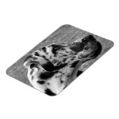 GREAT DANE MAGNET (Linke Seite)