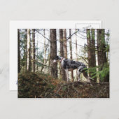 Great Dane Marlie in Woods Postcard Postkarte (Vorne/Hinten)
