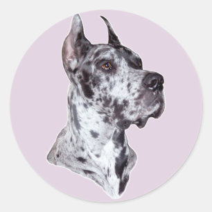 Great Dane Merle Croppe Runder Aufkleber