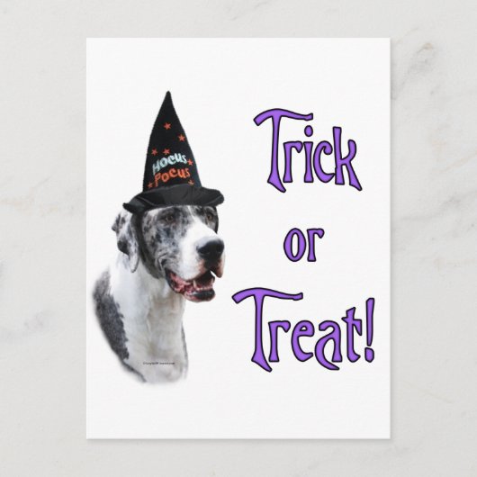 Great Dane (Merle) Trick Postkarte (Vorderseite)