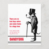 Great Dane Mister Alf Flyer (Hinten)