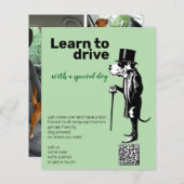 Great Dane Mister Alf Treiber Flyer (Vorne/Hinten)