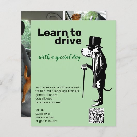 Great Dane Mister Alf Treiber Flyer (Vorne/Hinten)