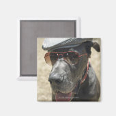 Great Dane mit Hut und Sonnenbrille Magnet (Vorderseite/Rückseite)